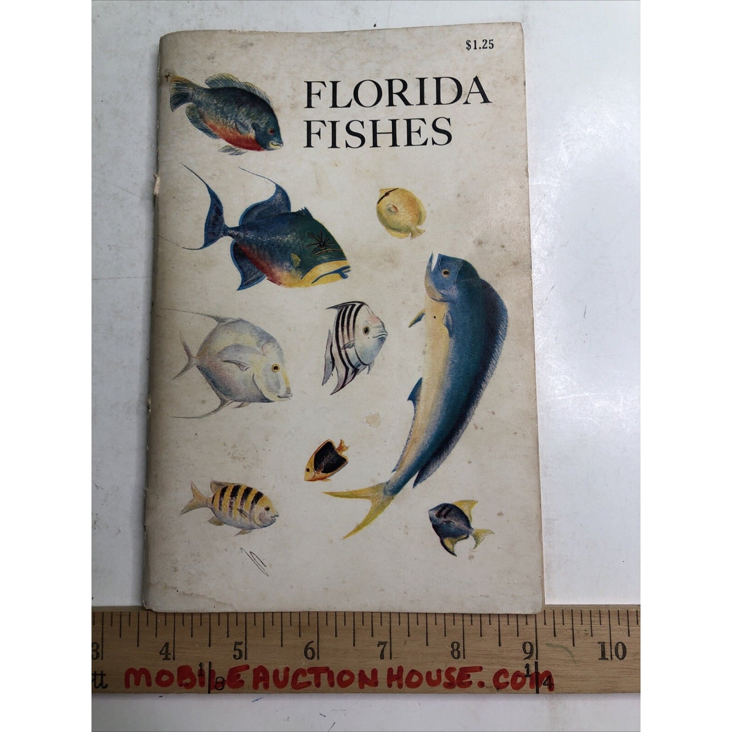 Florida Fishes Book Saltwater Freshwater 1969 Fish Identification Guide Fishing