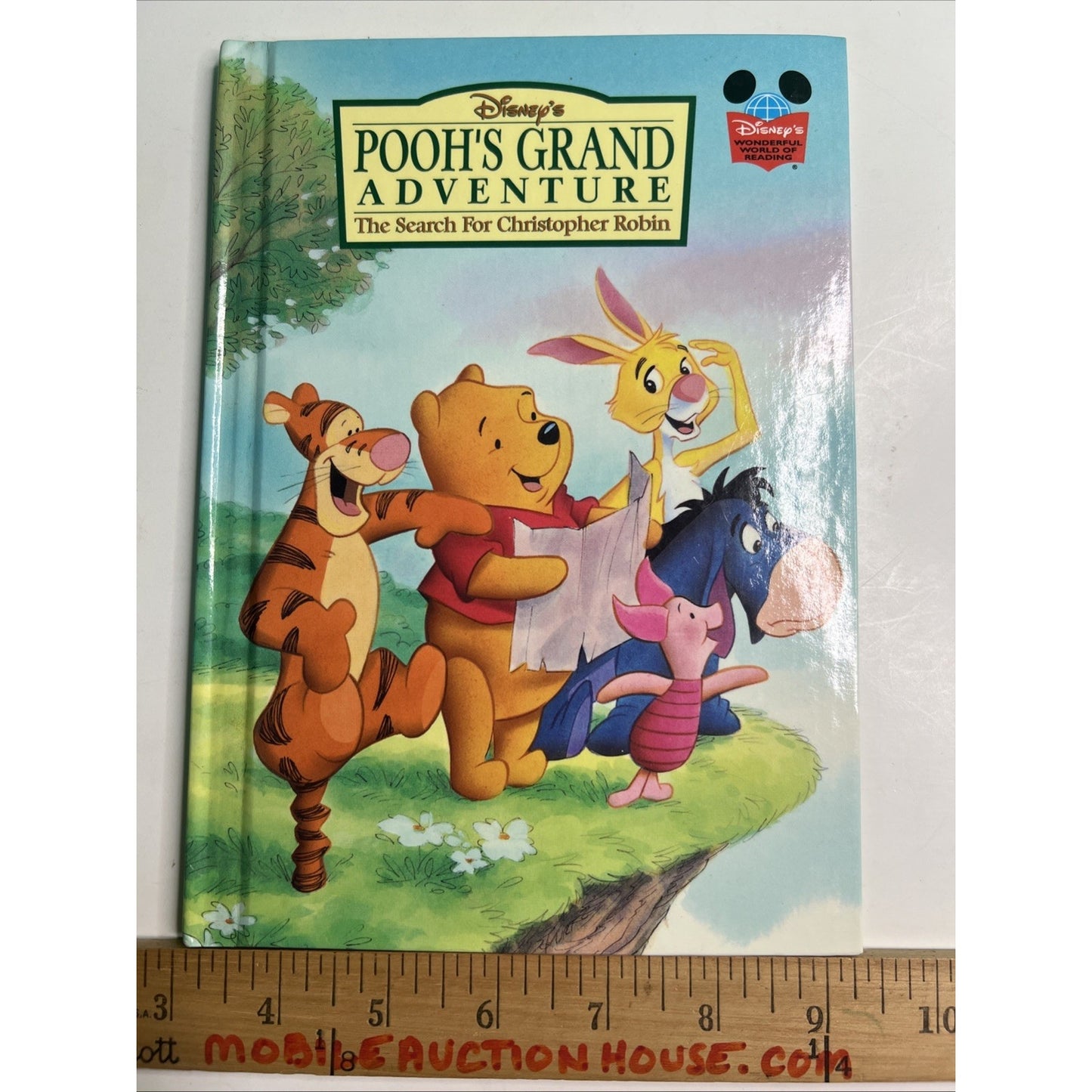 Disney's Pooh's Grand Adventure The Search for Christopher Robin Children’s Book
