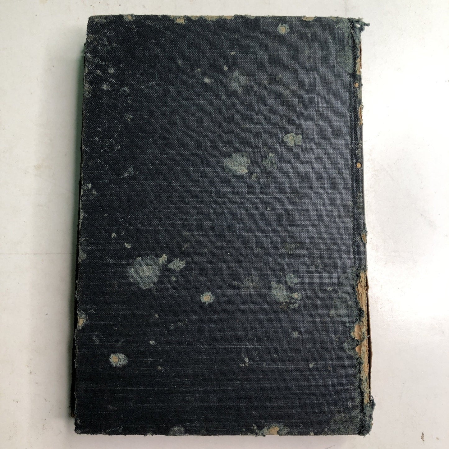 Strange Fruit: A Novel by Lillian Smith 1944 Hardcover Damaged Cover