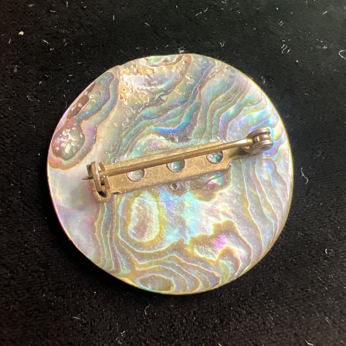 Antique Abalone Brooch Pin Brilliant Colors 1.5” Diameter
