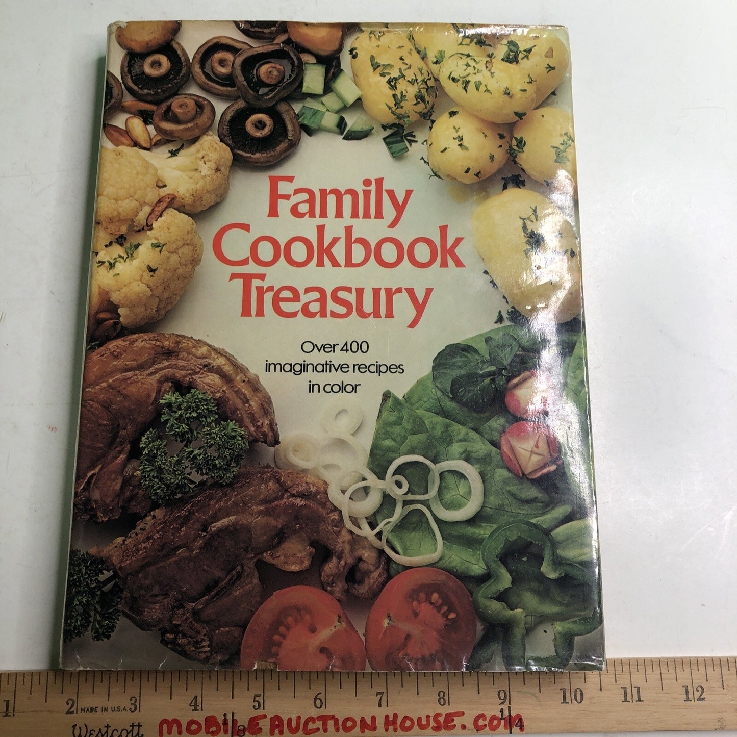 Vintage 1980 FAMILY COOKBOOK TREASURY Recipes