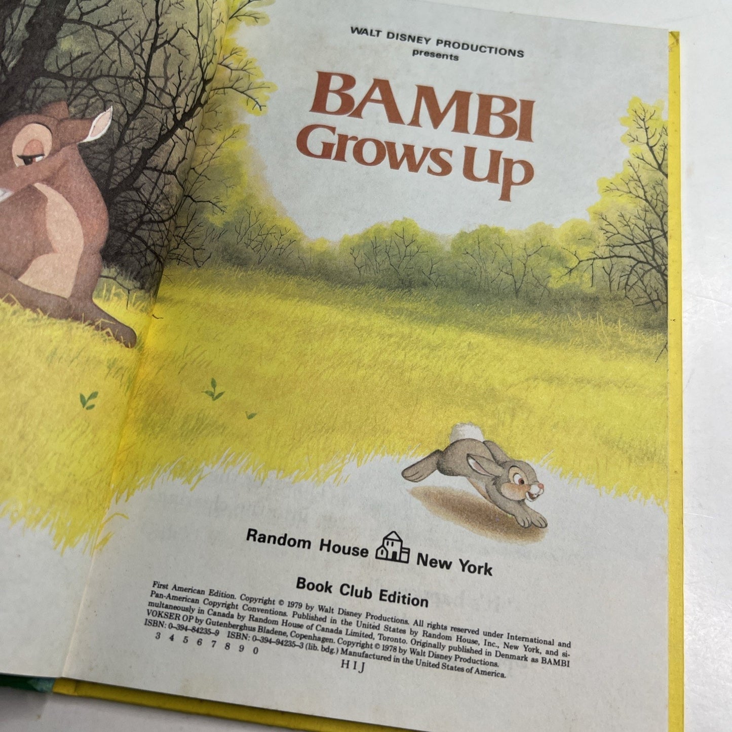 1979 Walt Disney's Wonderful World Of Reading BAMBI GROWS UP HC Children’s Book