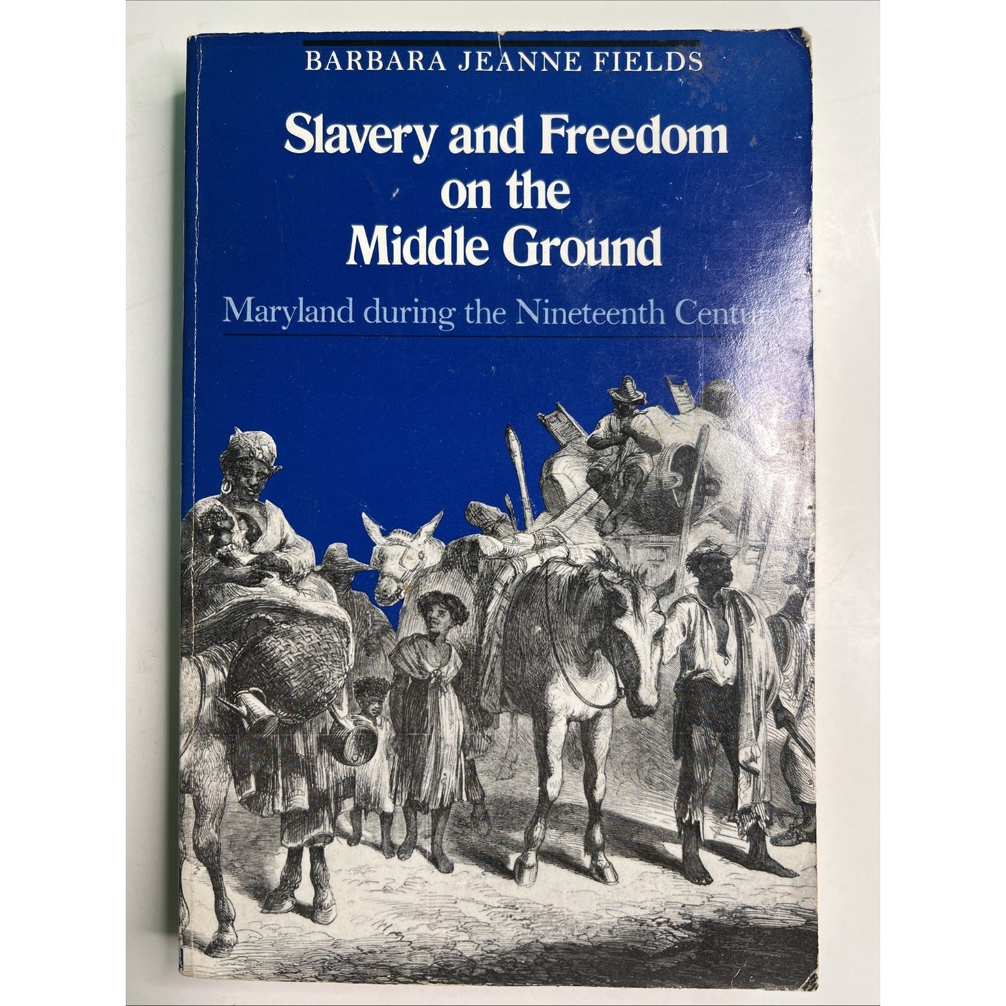 Slavery and Freedom on the Middle Ground : Maryland Barbara Fields 1985 PB