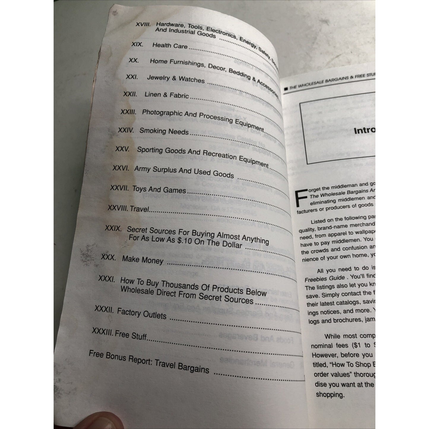 The Wholesale Bargains & Free Stuff Guide 2000 PB