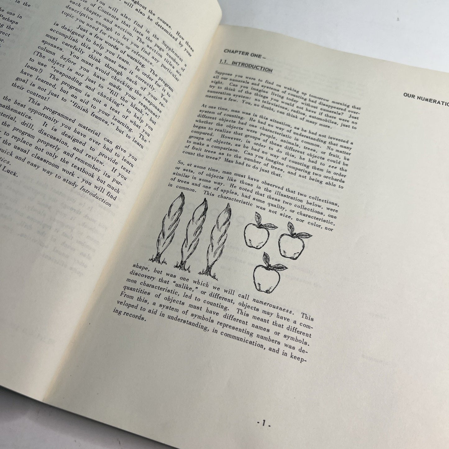 Introduction To Mathematics by Daniel P. Murphy 1 of 4 PB 1962 TEMAC Learning