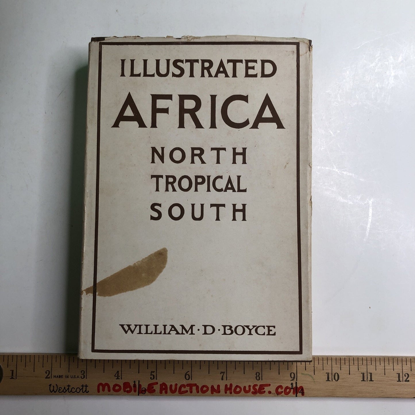 1925 Illustrated Africa North Tropical South By William Boyce HB DJ 1st Edition