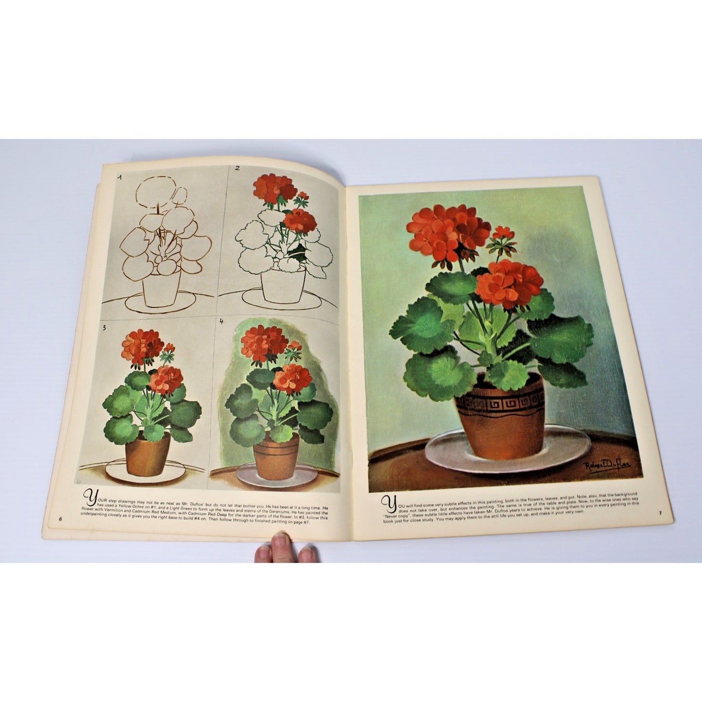 Paintings by the Famous French Artist Robert Duflos- Walter Foster #131