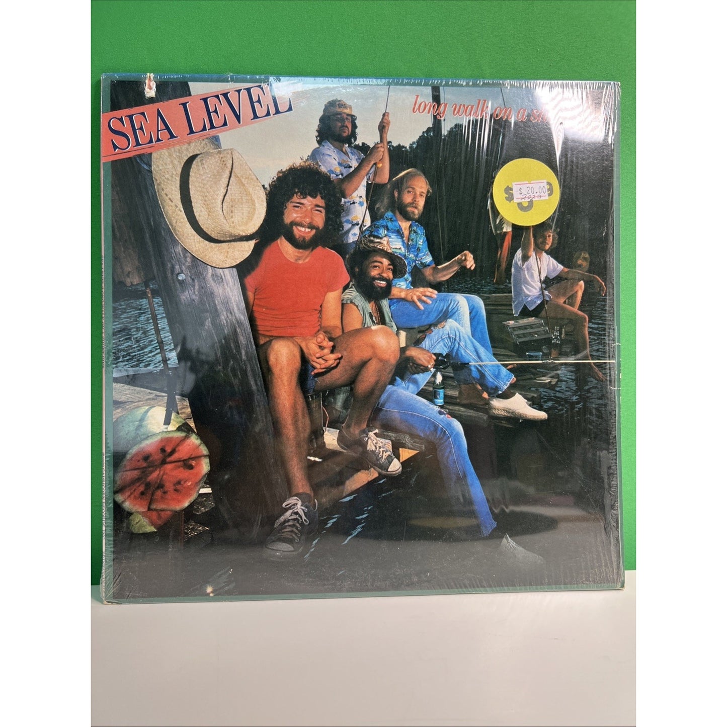 Sea Level Long Walk On A Short Pier Vinyl LP 1979 Capricorn Record Album