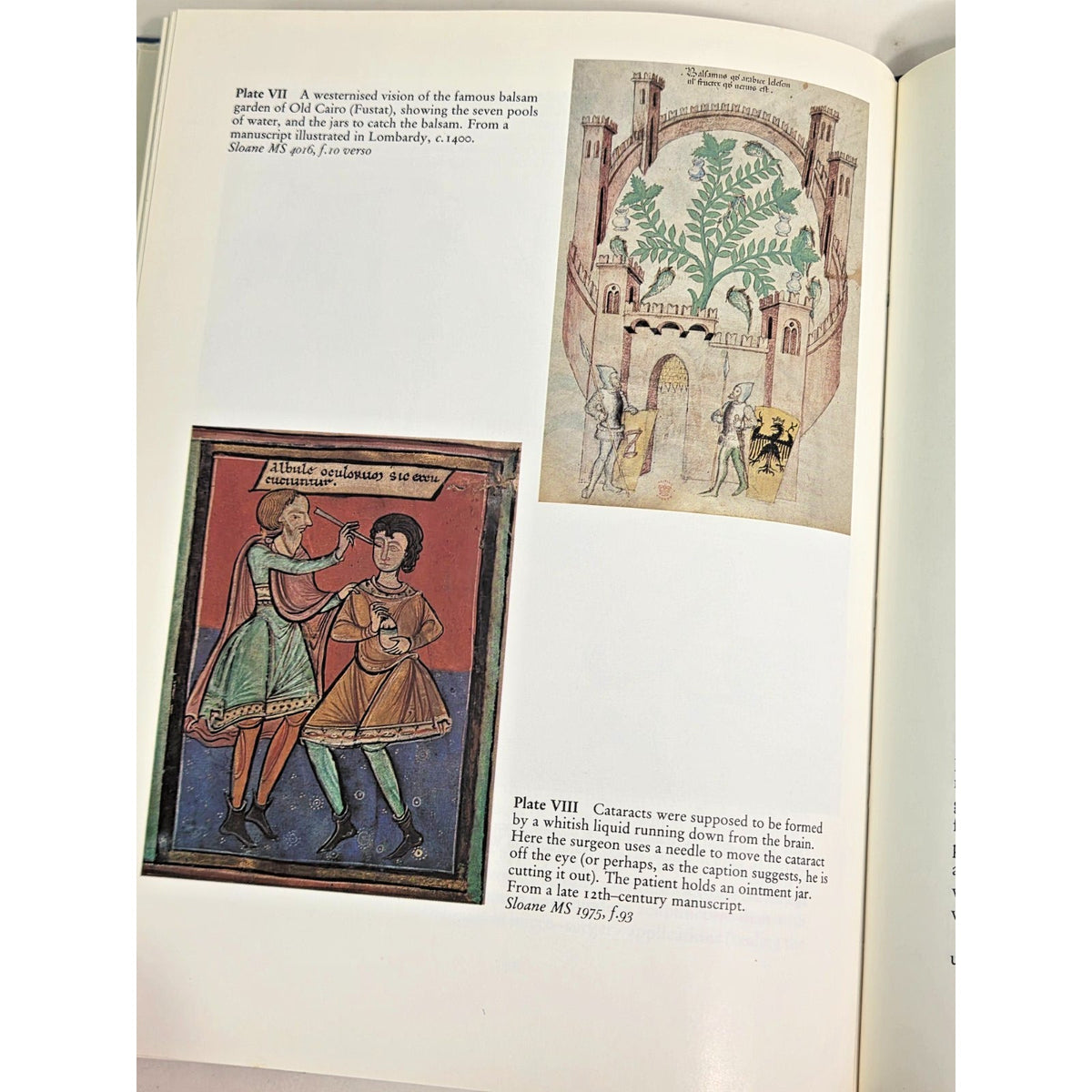 Medieval Medical Miniatures Peter Murray Jones 1985 British Library Illustration