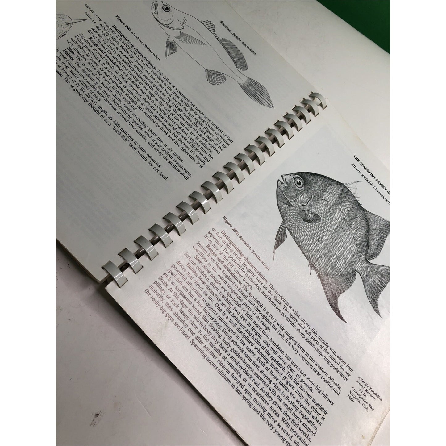 Dr. Bob Shipp's Guide to Fishes of the Gulf of Mexico 4th Printing 1994 Alabama