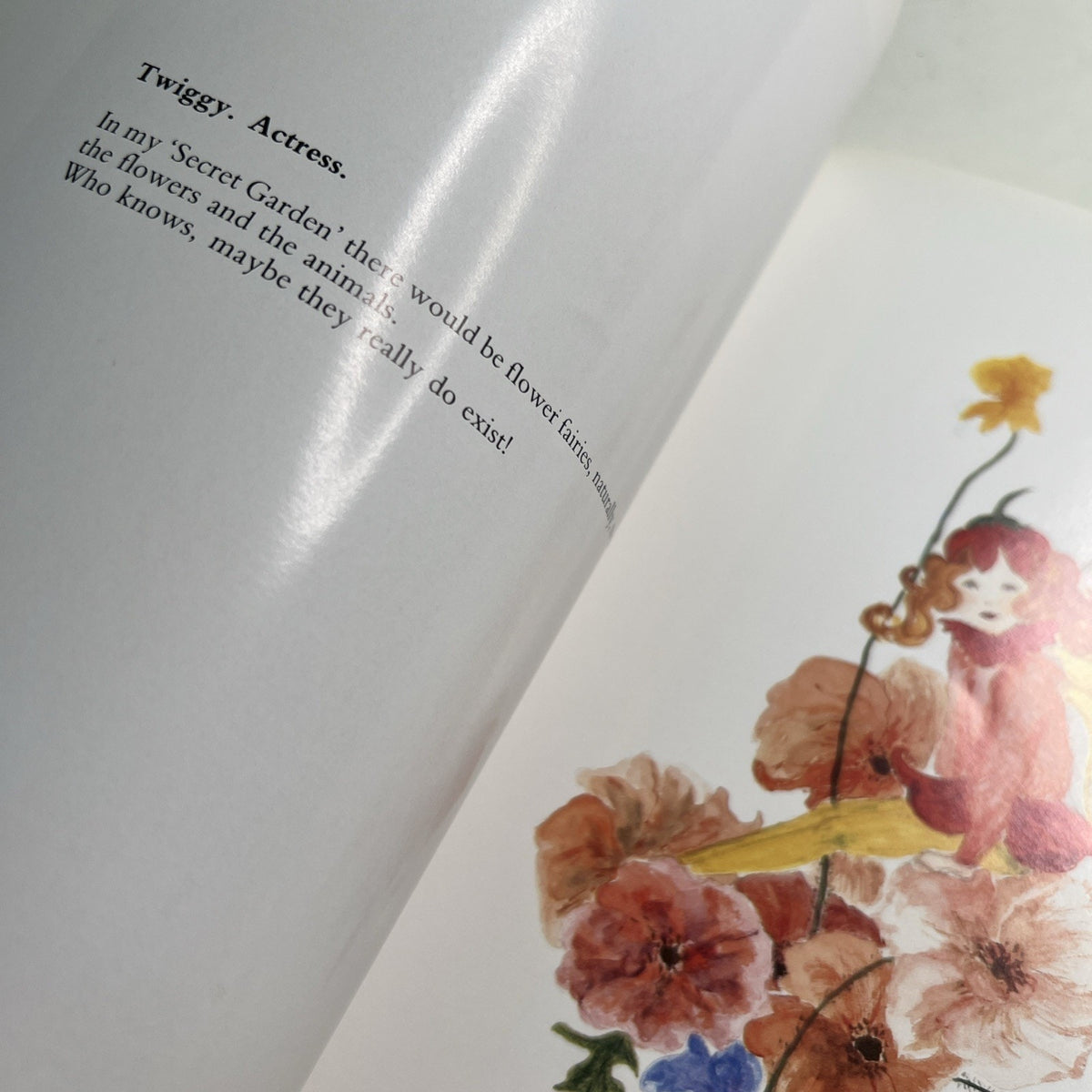 1988 Secret Gardens Book Christie’s Scotland Auction Catalog Help The Aged