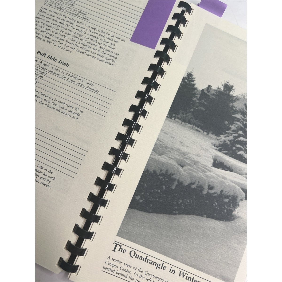 1987 In Good Taste College Of Our Lady Of The Elms Cookbook Chicopee, MA
