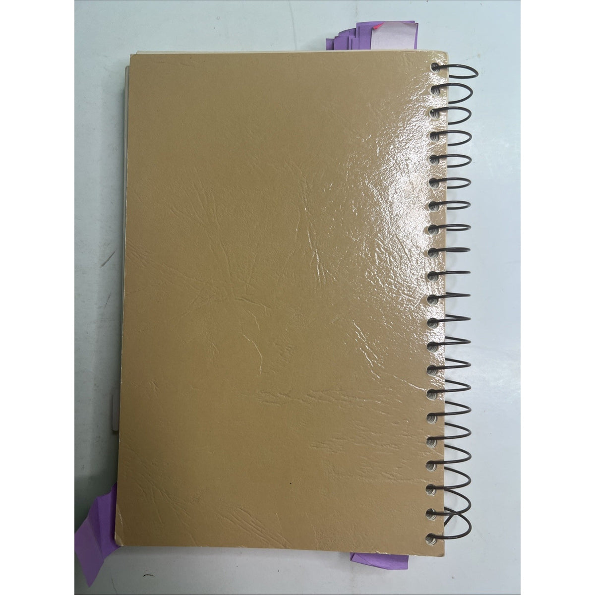 1986 Garden Club Council of Fort Worth TX Cookbook Sesquicentennial Edition