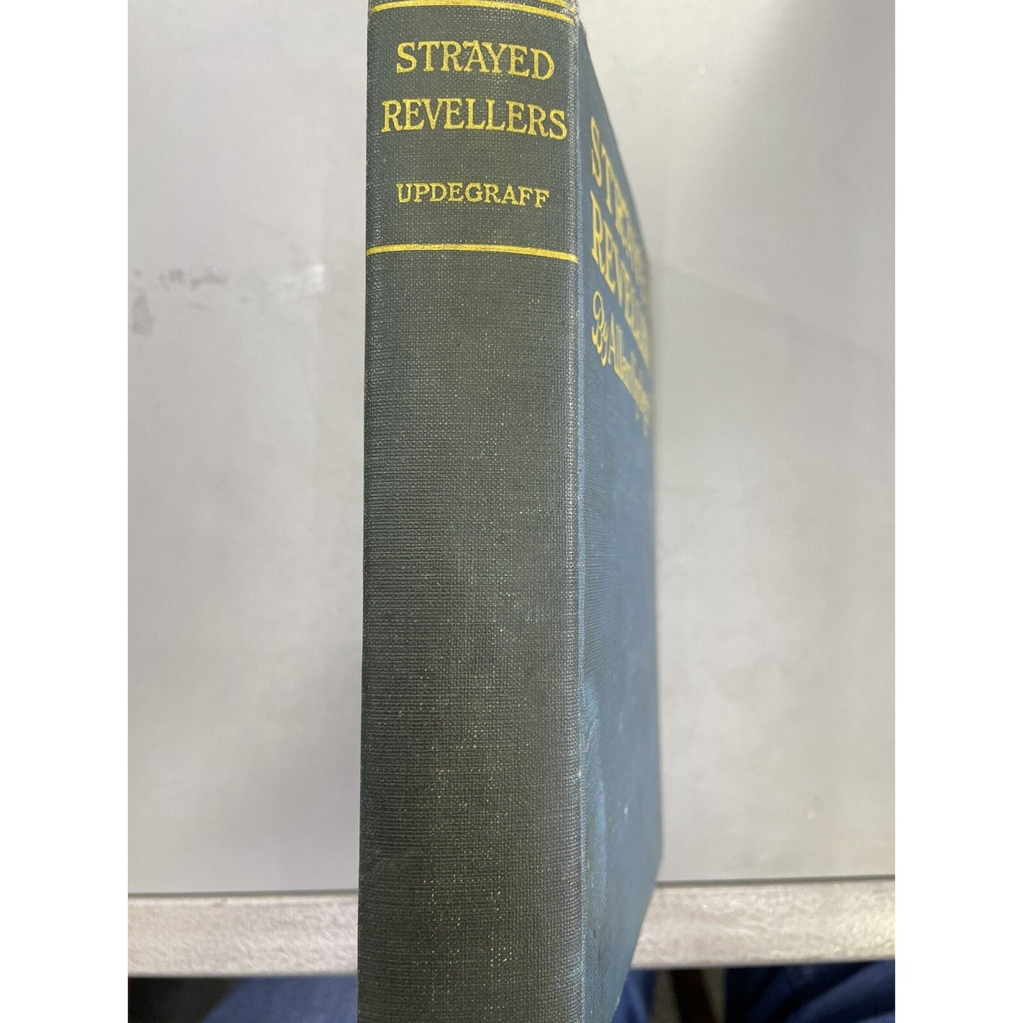 1918 Allan Updegraff Strayed Revellers A Novel of Modernistic Truth and Intrud