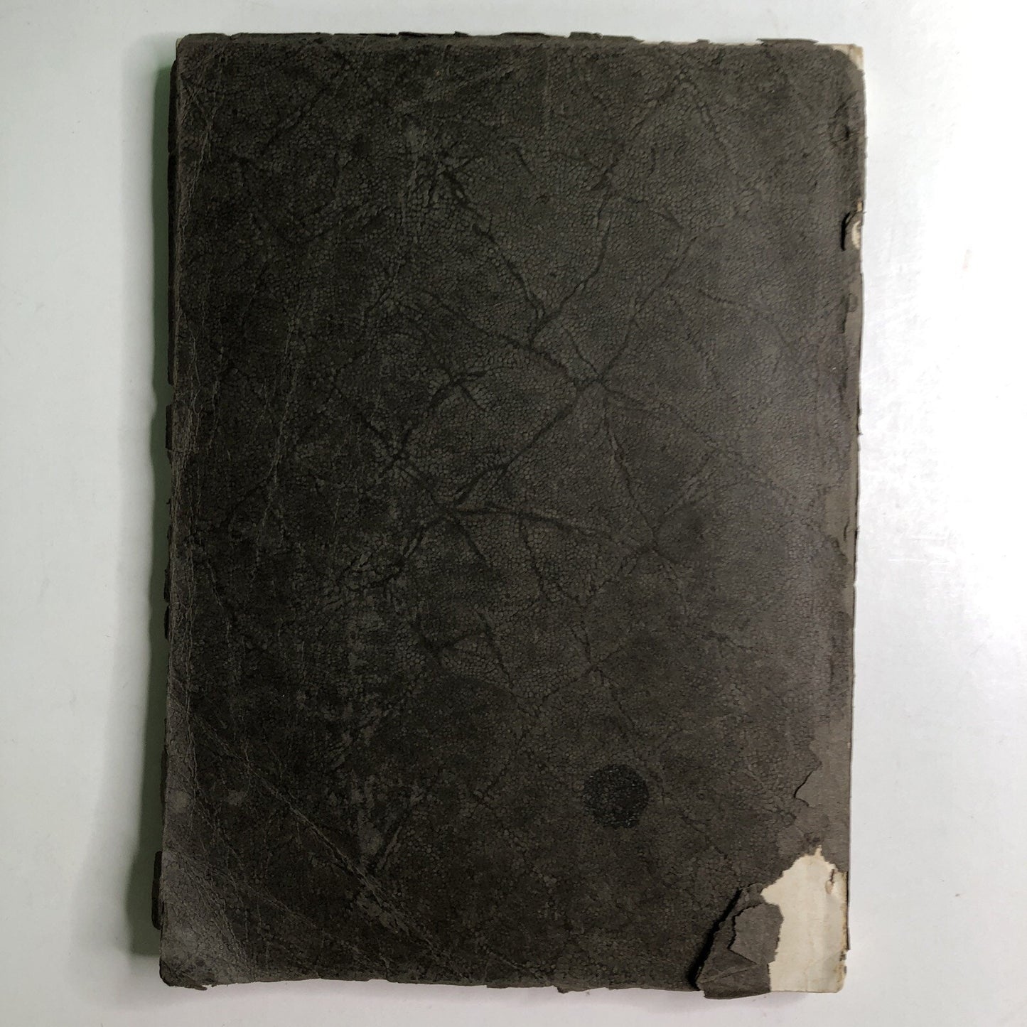 1926 BARTONIAN Yearbook Mobile High School Alabama Local History Barton Academy