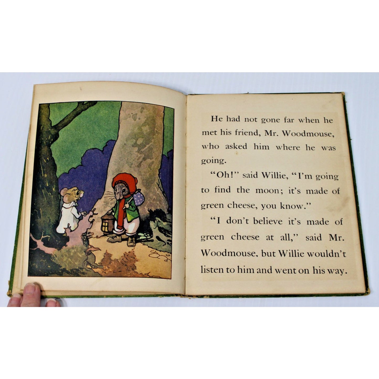 1927 Antique Children's book- Willie Mouse: Story of a Little Animal- Alma Tabor