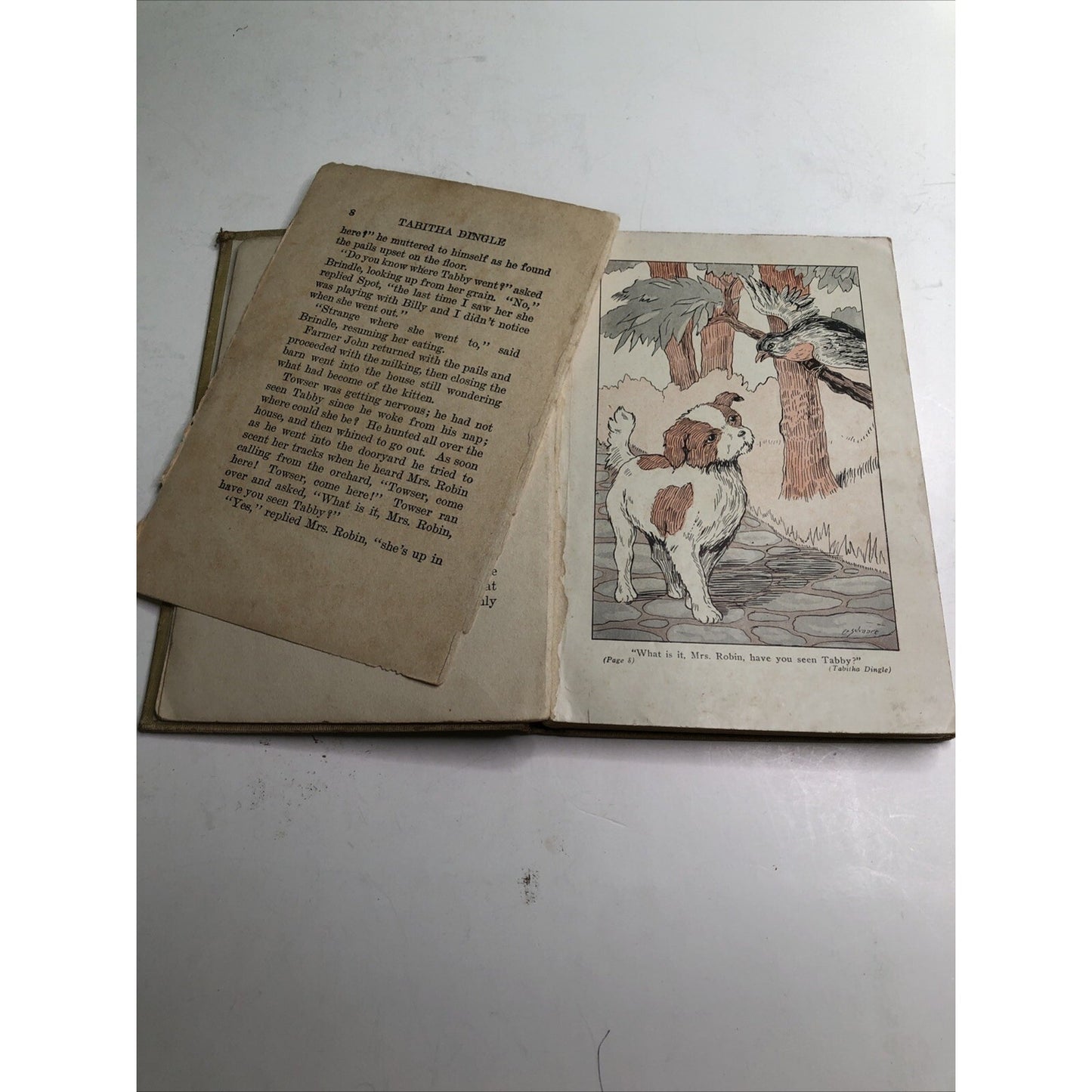 Tabitha Dingle by Elsie M. Alexander 1928 Illustrated FREE SHIPPING