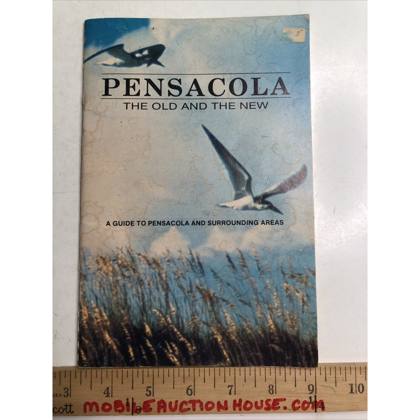 Pensacola The Old And The New Guide Surrounding Area PB 1988 Historical Society