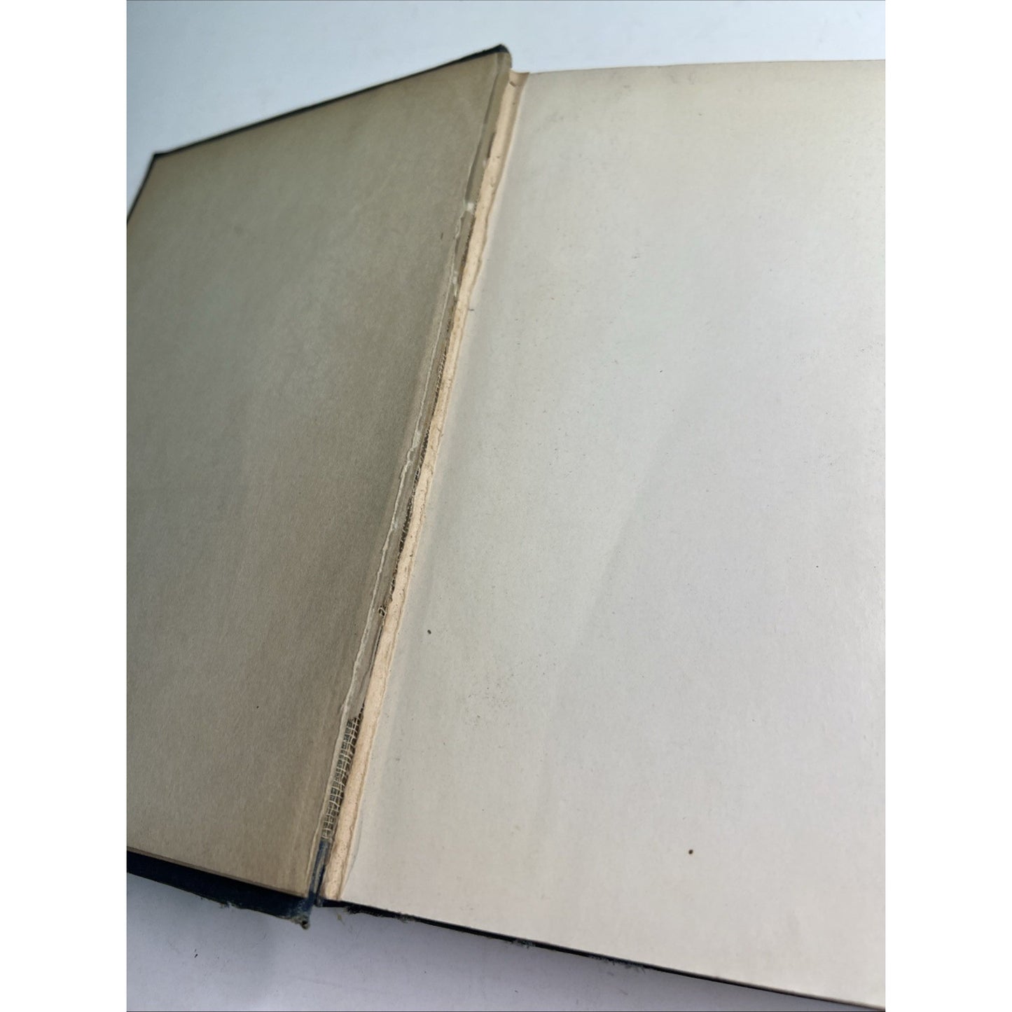 Vintage 1921 Book The Story of Mankind by Hendrik Van Loon 1st Edition 1st print
