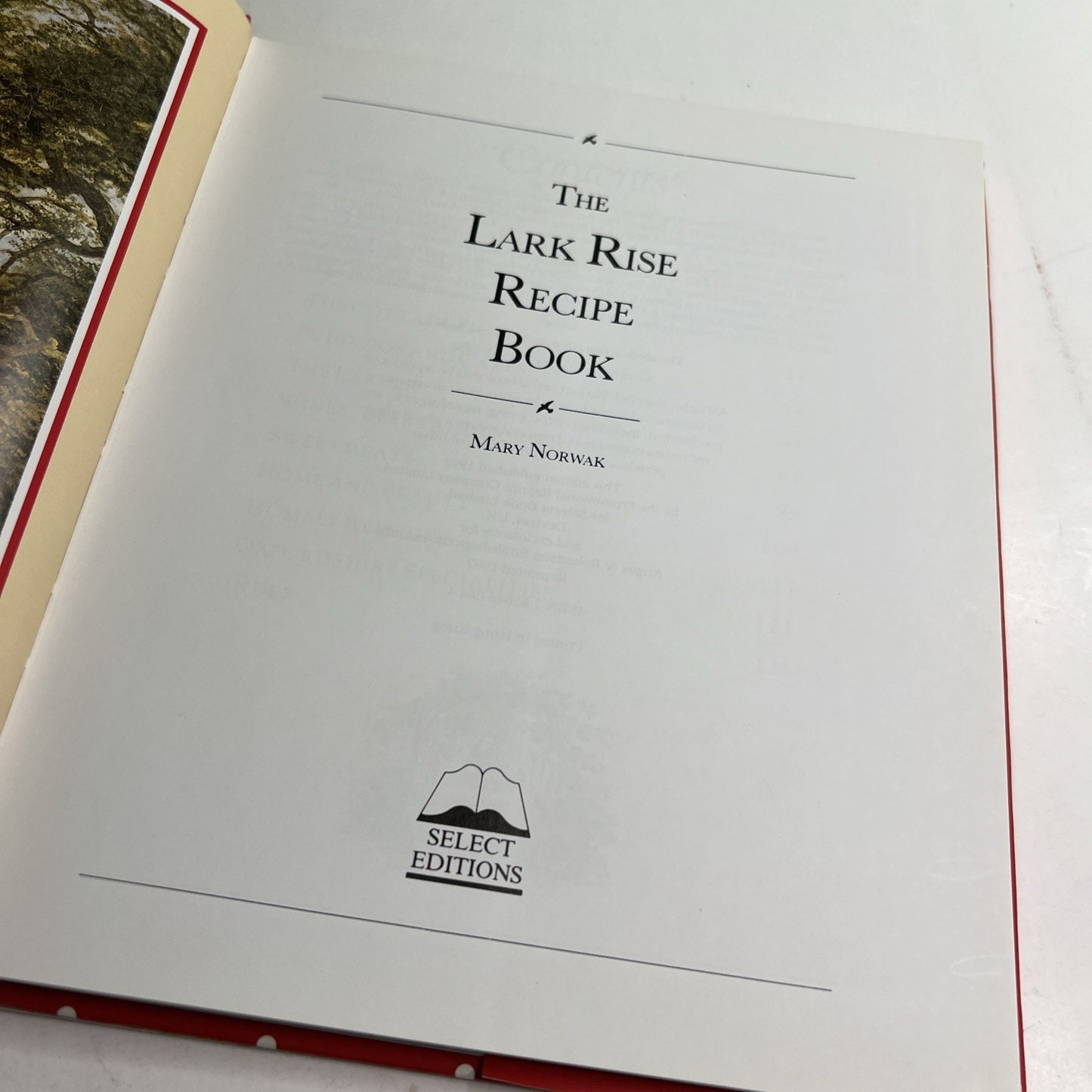 The Lark Rise Recipe Book by Mary Norwak 1992 Hardcover Dust Jacket