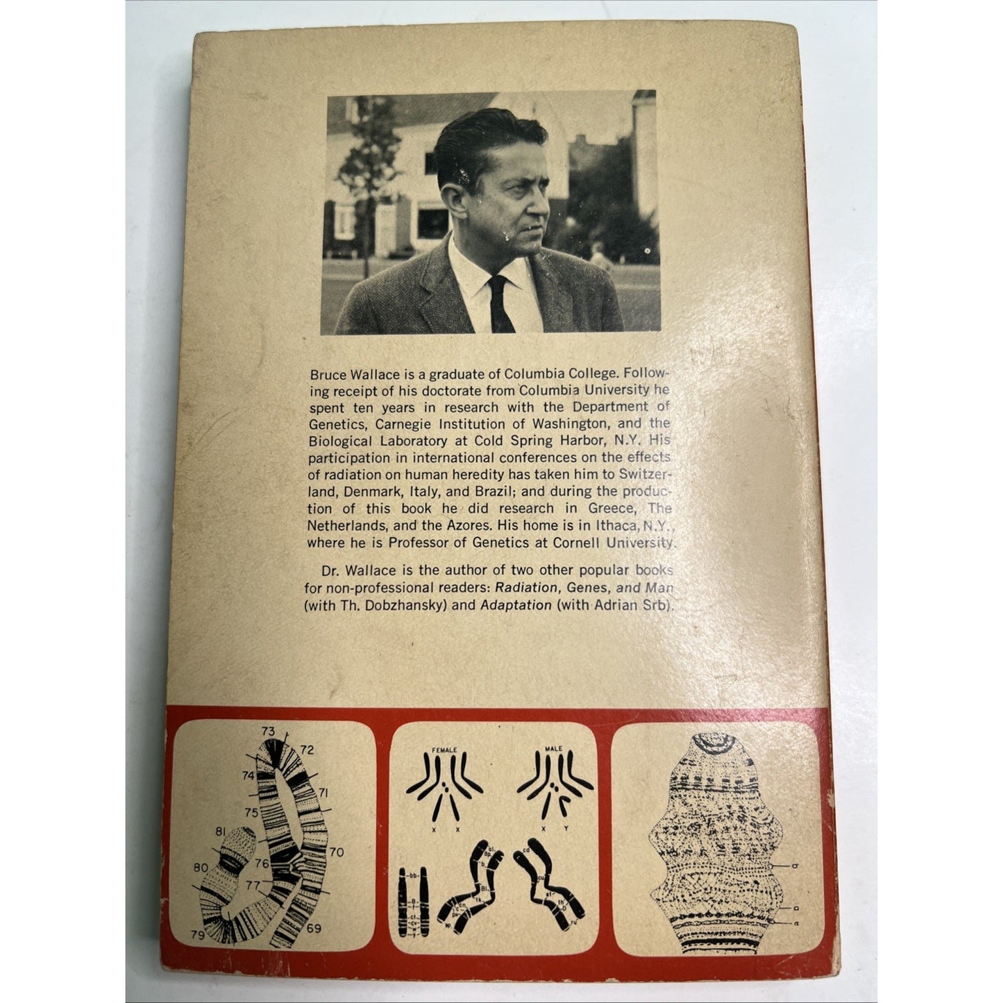 Chromosomes, Giant Molecules, and Evolution by Bruce Wallace 1966 PB 1st Edit.