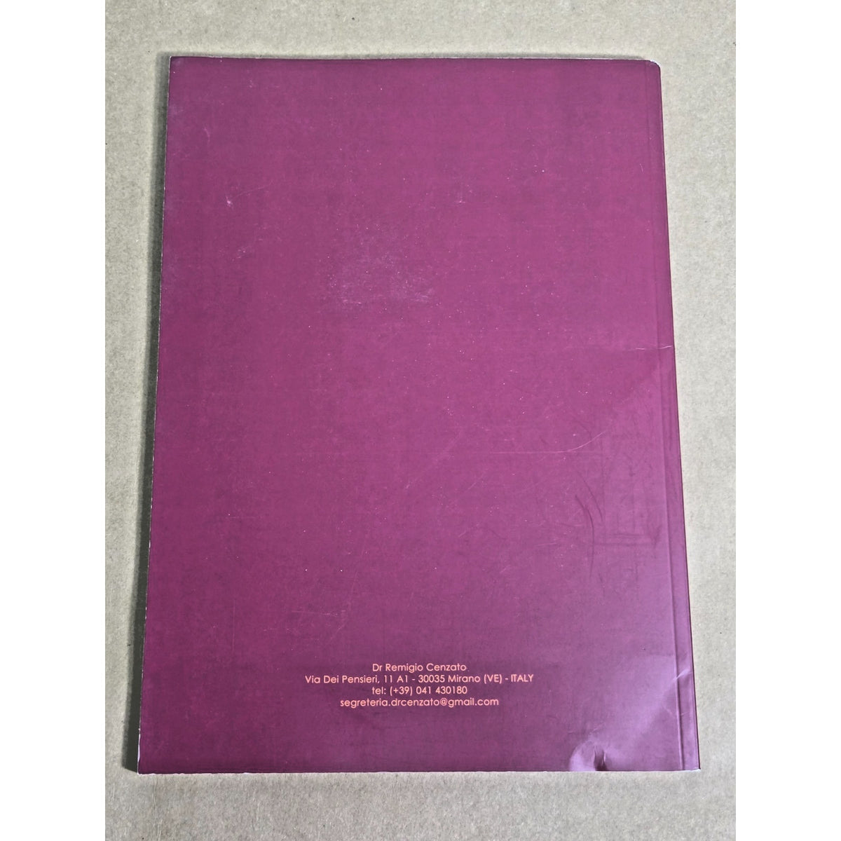RARE The Therapeutic Value of Raphael's Madonnas Dr. Remigio Cenzato Art Therapy