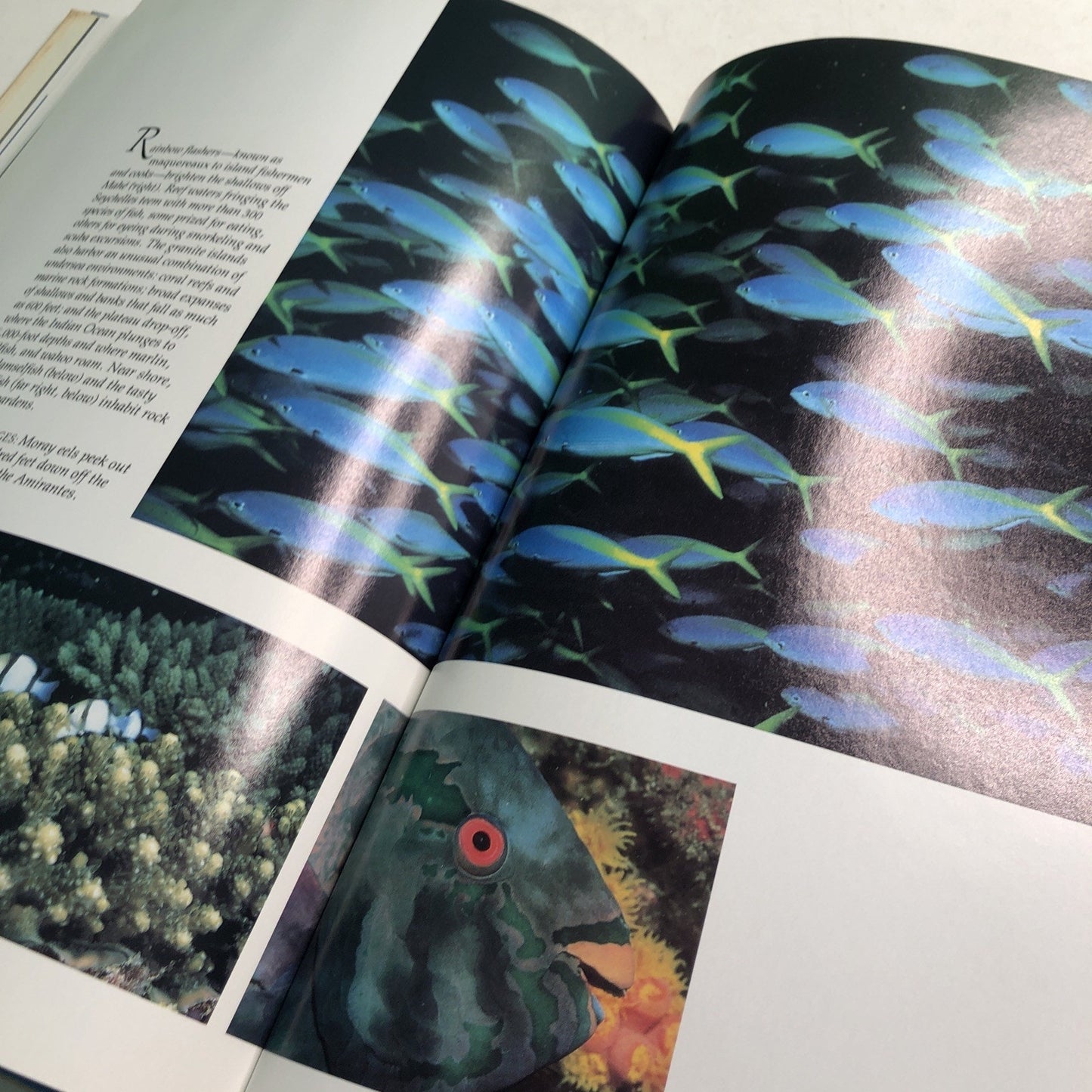 National Geographic Society: Majestic Island Worlds HC DJ 1987