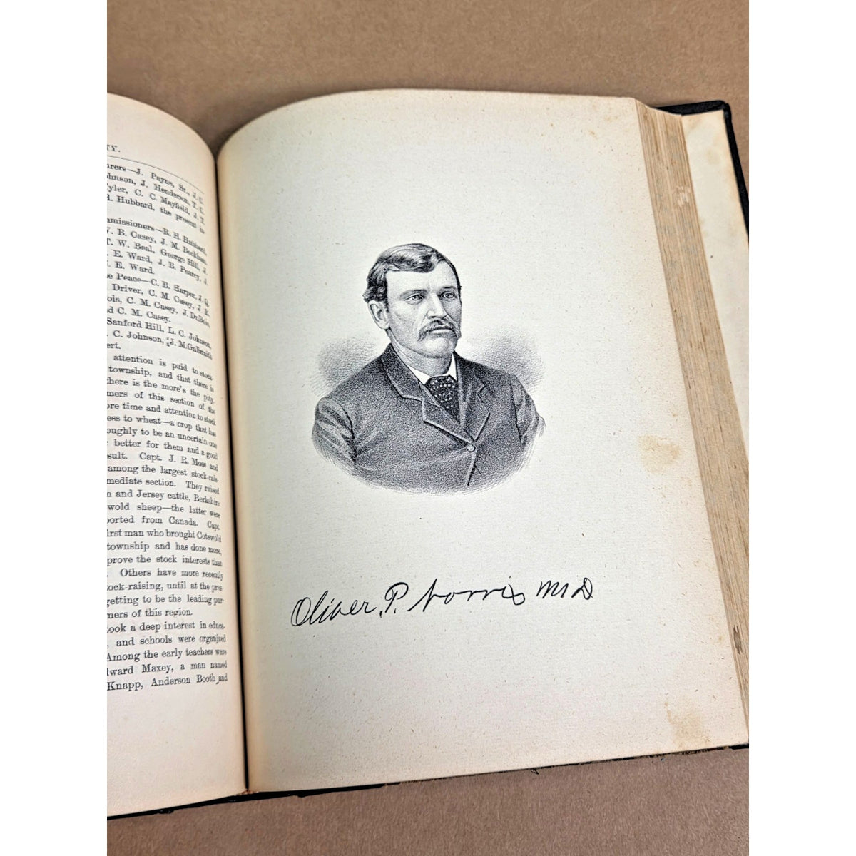1883 History of Jefferson County Illinois William Henry Perrin First Edition