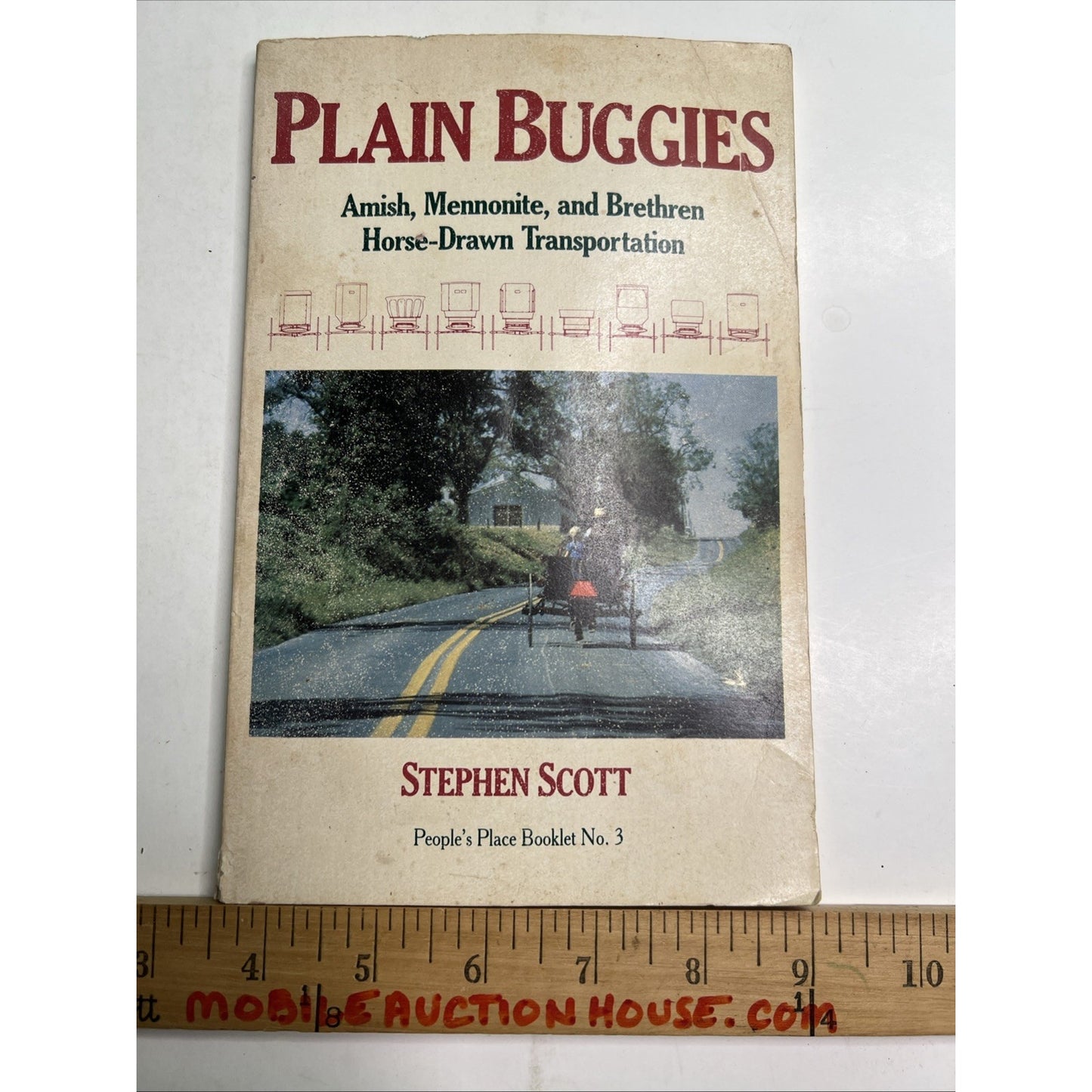 Stephen SCOTT Plain Buggies Amish Mennonite and Brethren Horse-Drawn 1st 1981 PB