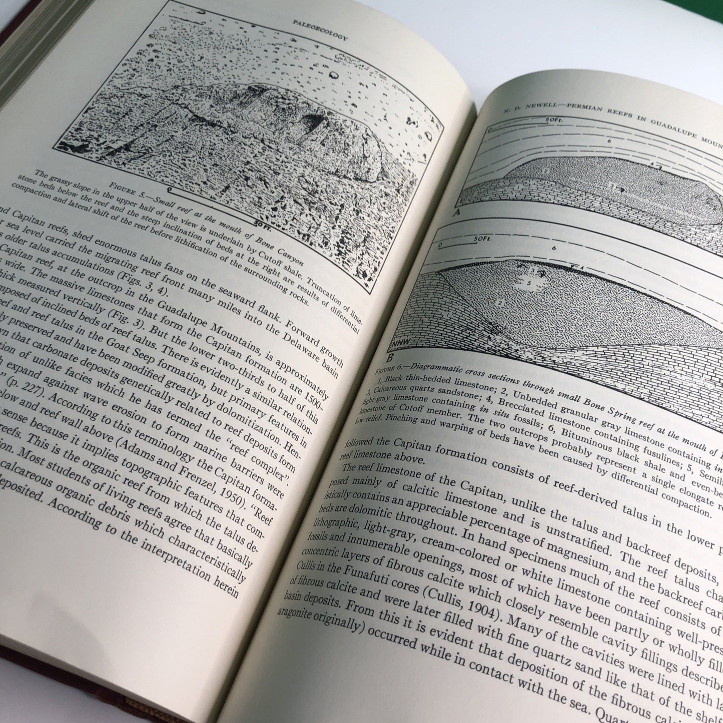 Treatise on Marine Ecology & Paleoecology V2 Geological Society of America #67