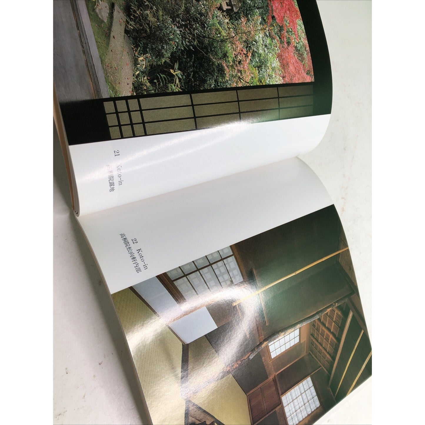 1996 First Edition The Tea Garden by Mizuno Katsuhiko TPB DJ