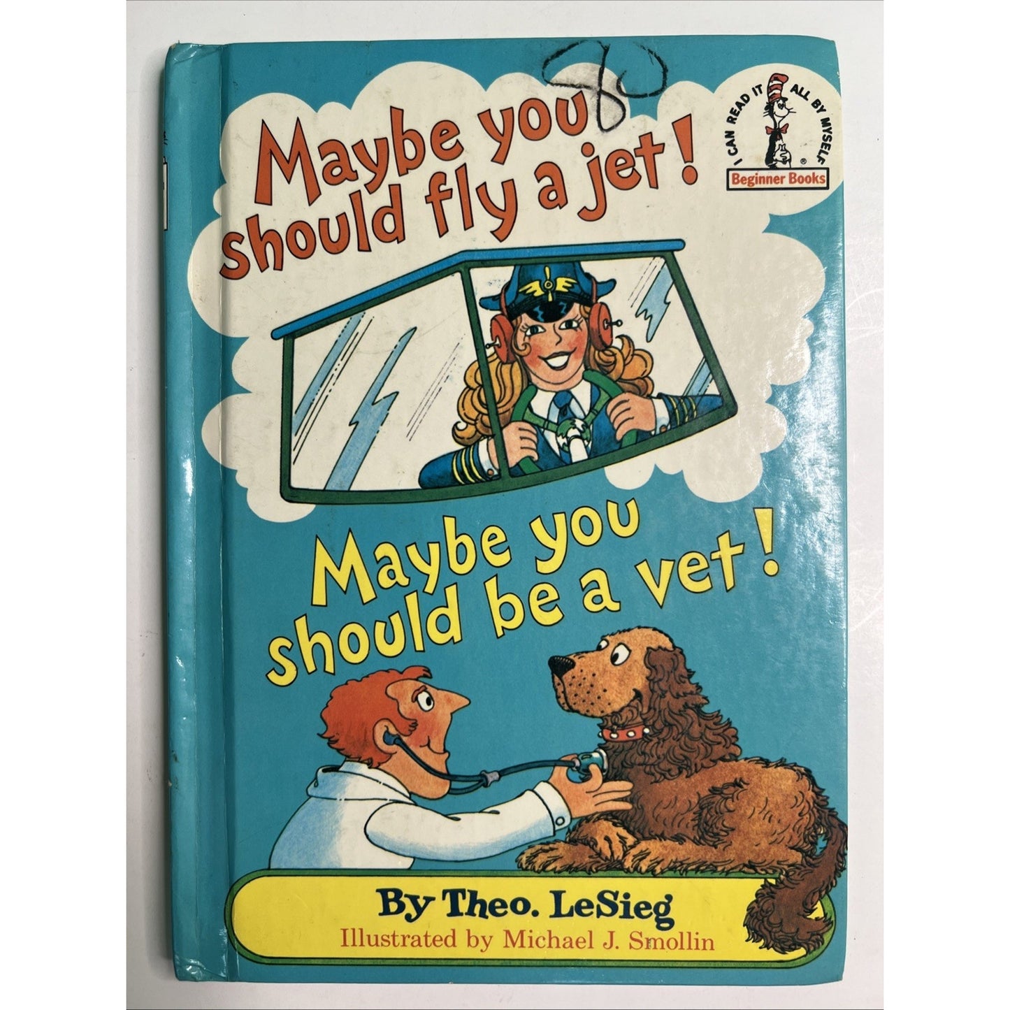 Maybe You Should Fly A Jet! Maybe You Should Be A Vet! by Theo. LeSieg - 1980 HC