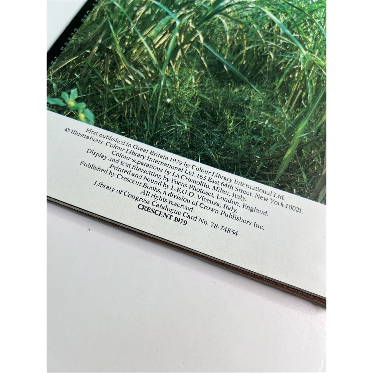 The Old South - A Picture Book To Remember Her By - Crescent - 1979 - HC with DJ