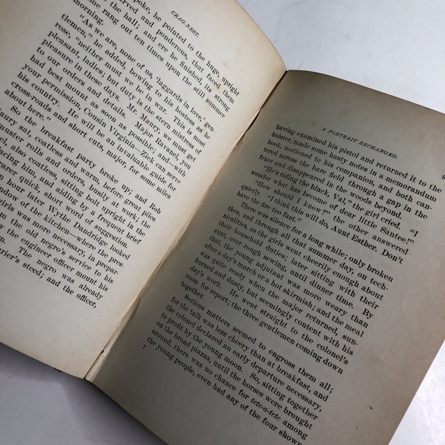 Crag Nest 1897 Romance Novel by TC DeLeon Mobile ALA Gossip Printing 1897 SIGNED