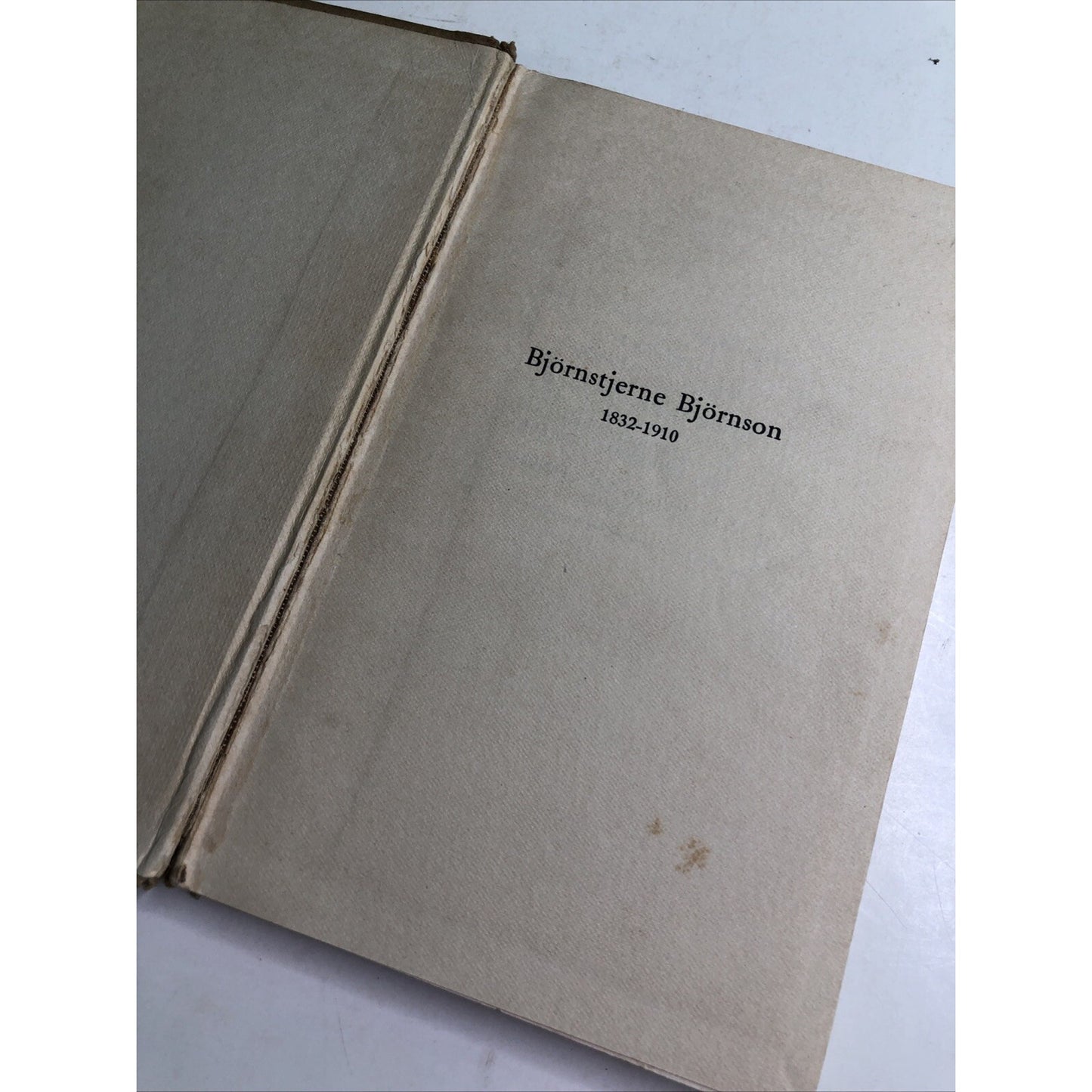 Bjornstjerne Bjornson 1832-1910 by William Morton Payne Published 1910 1st Ed.