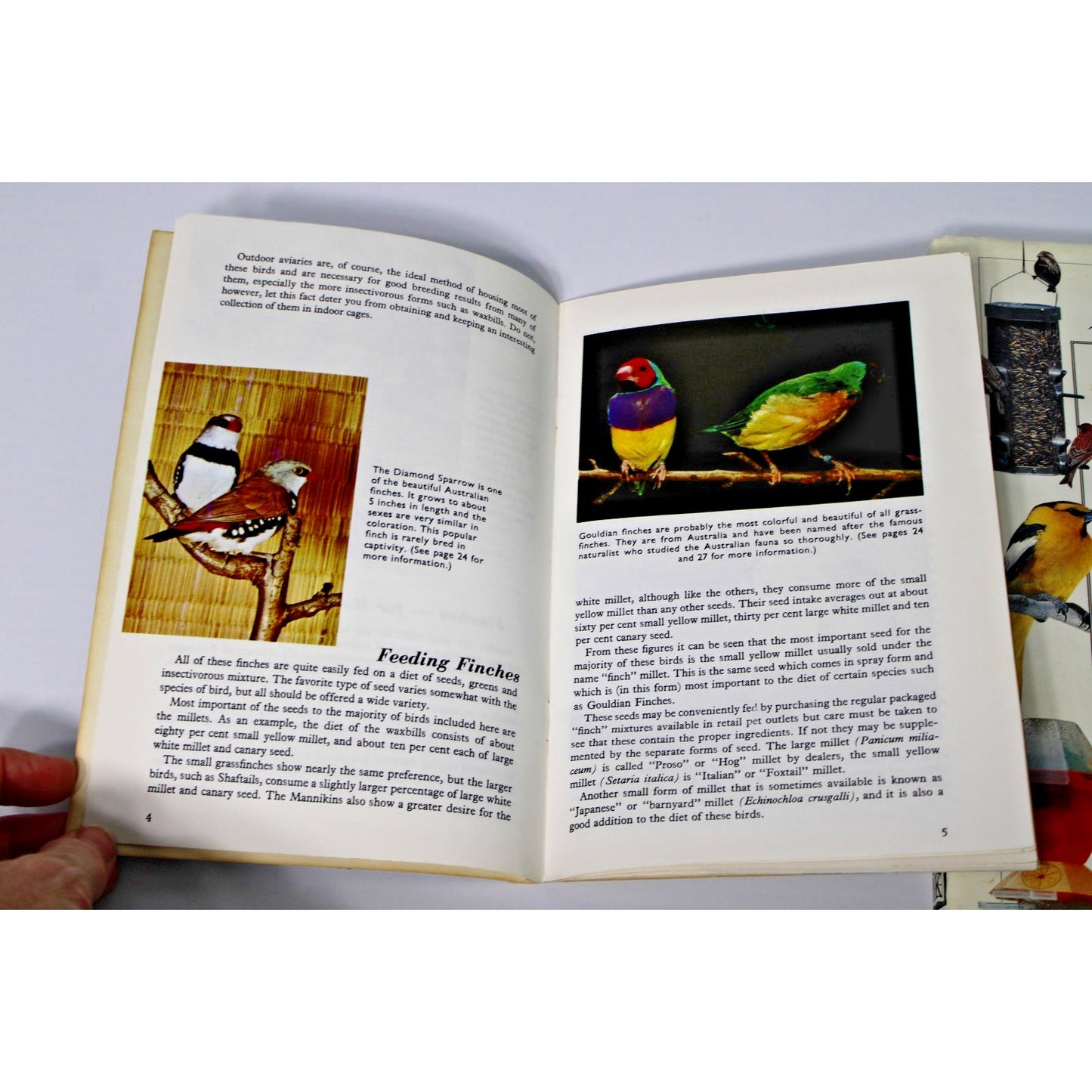 VTG Audobon Society: North American Birdfeeder Handbook and Finches...In Color!