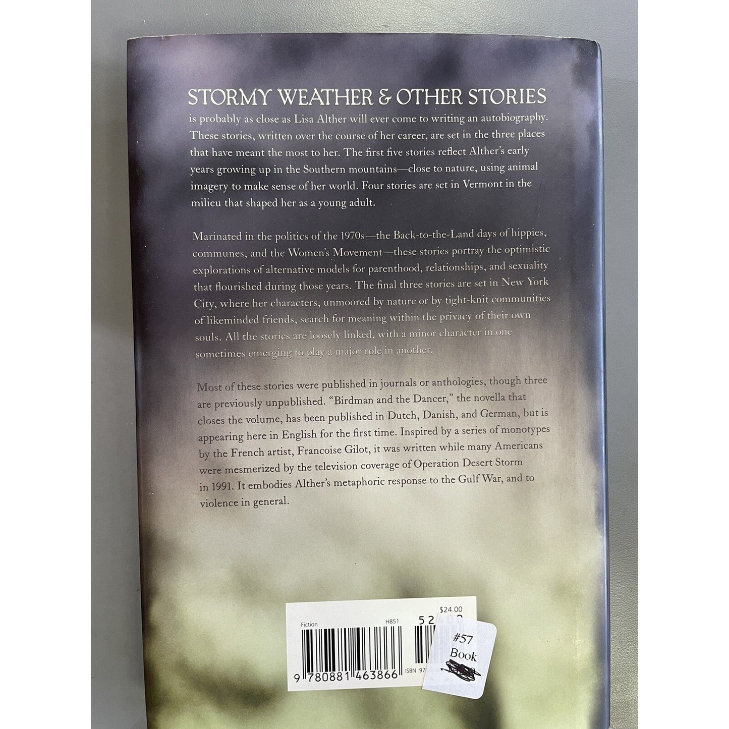 Stormy Weather and Other Stories DJ Hardcover SIGNED BY AUTHOR Lisa Alther 2012