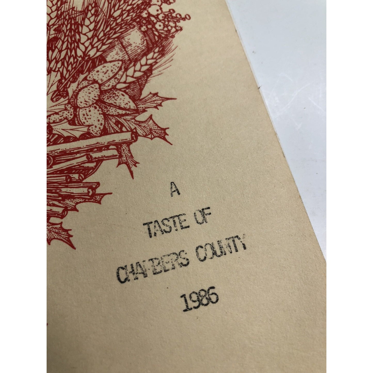 1986 Chambers County Alabama Cookbook Auburn University Cooperative Extension