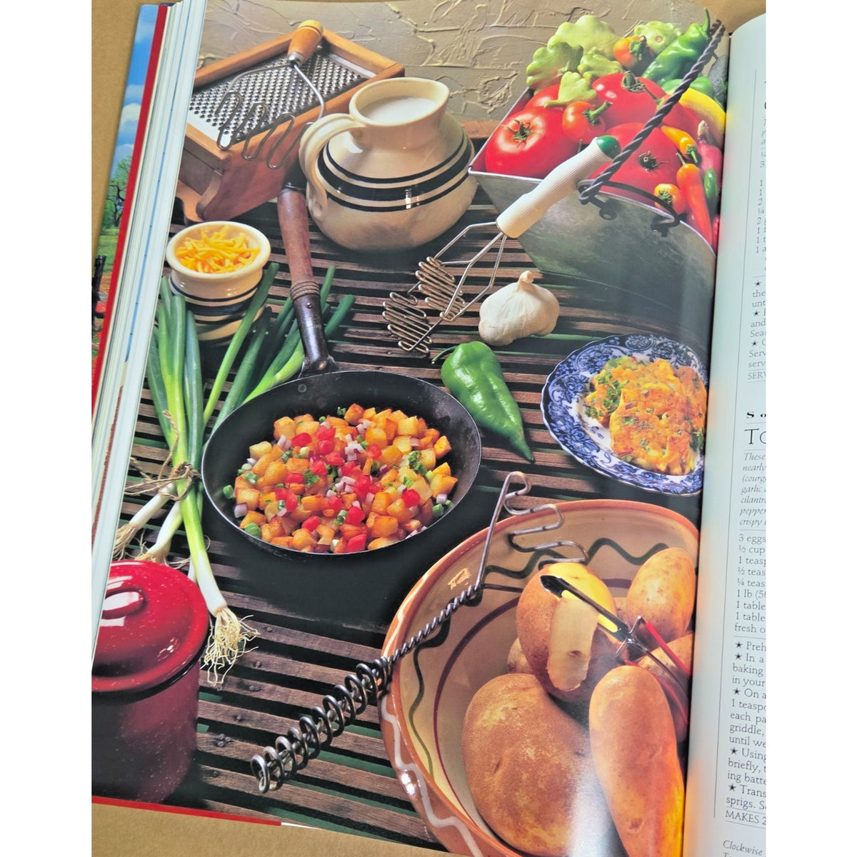Vintage 1995 Texas The Beautiful Cookbook Hardcover Authentic Regional Recipes