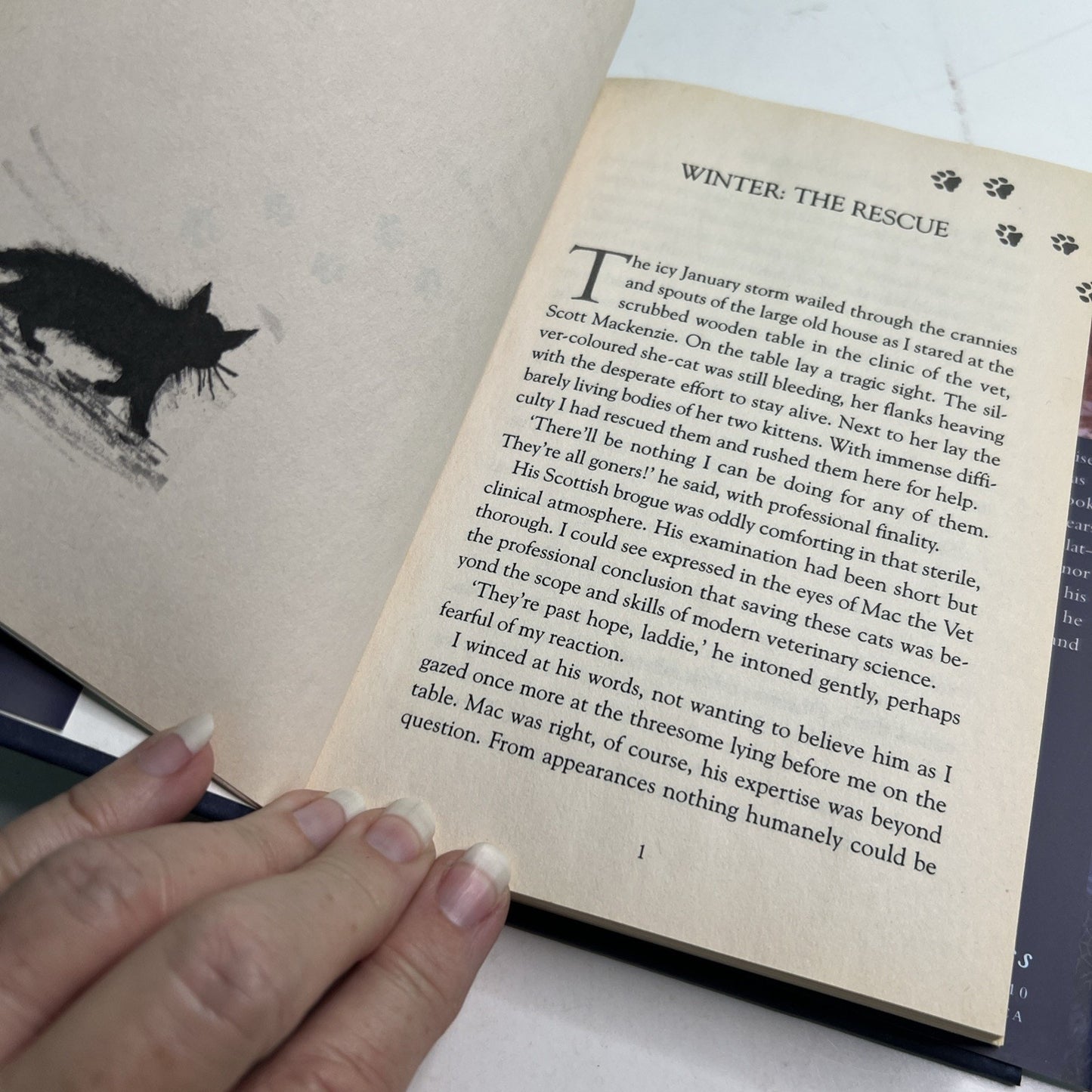 Paw Prints in the Moonlight: The Heartwarming True Story of One Man and his Cat