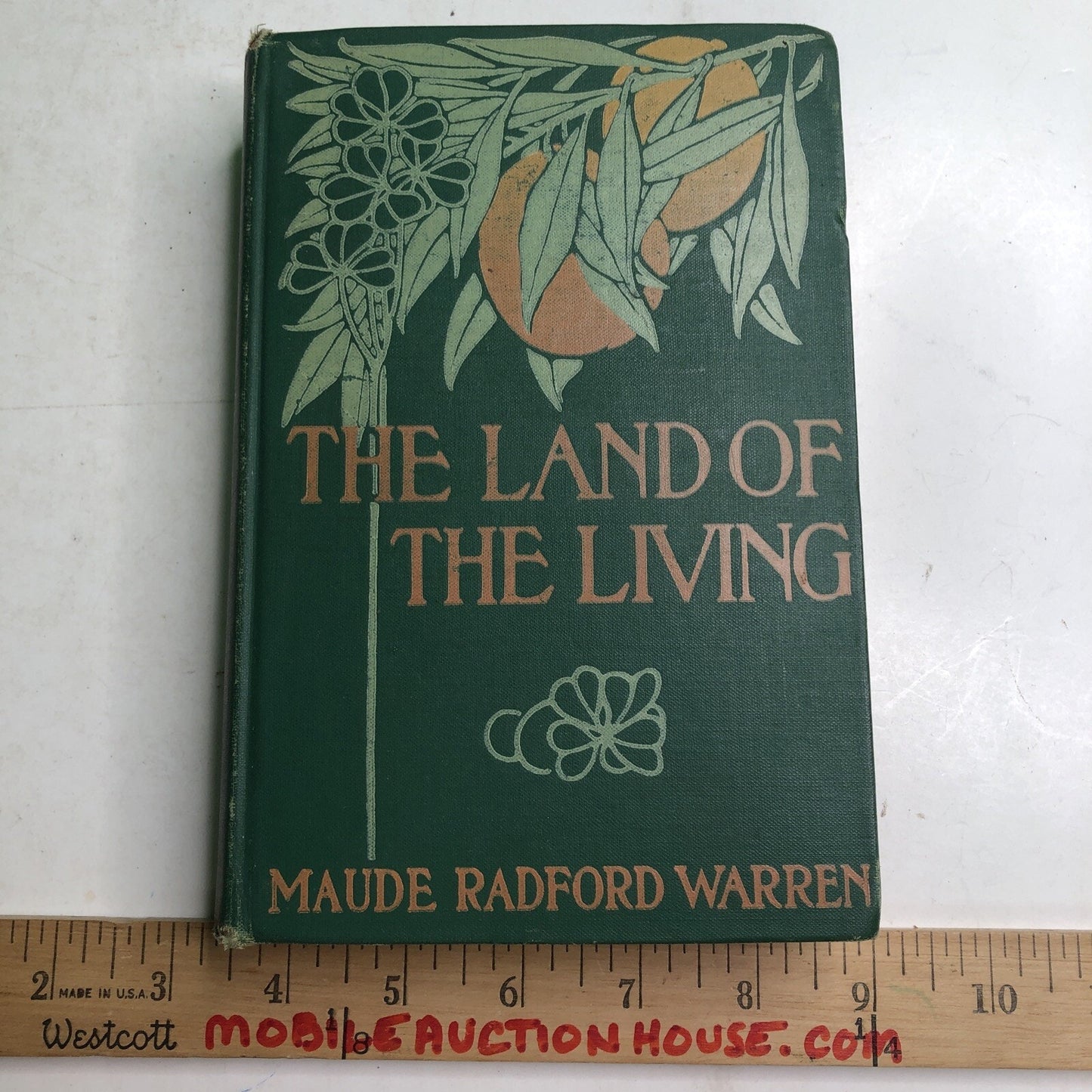 Land of the Living by MAUDE RADFORD WARREN FIRST EDITION 1908 HC Damage