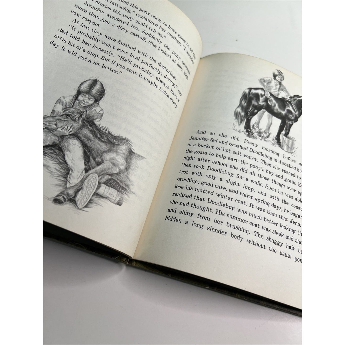 Doodlebug By Irene Brady Hardcover Weekly Reader Books 1977 Horse Illustrated