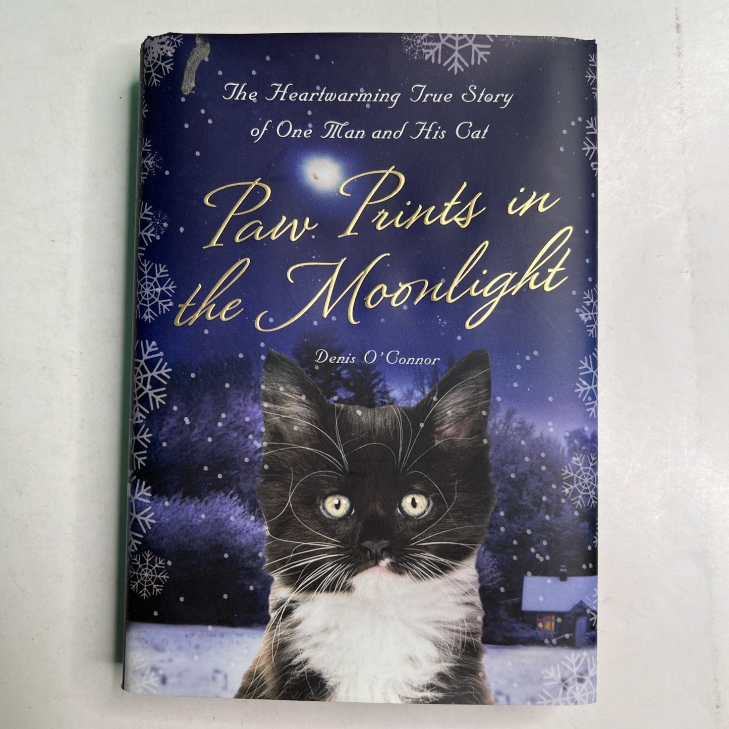 Paw Prints in the Moonlight: The Heartwarming True Story of One Man and his Cat