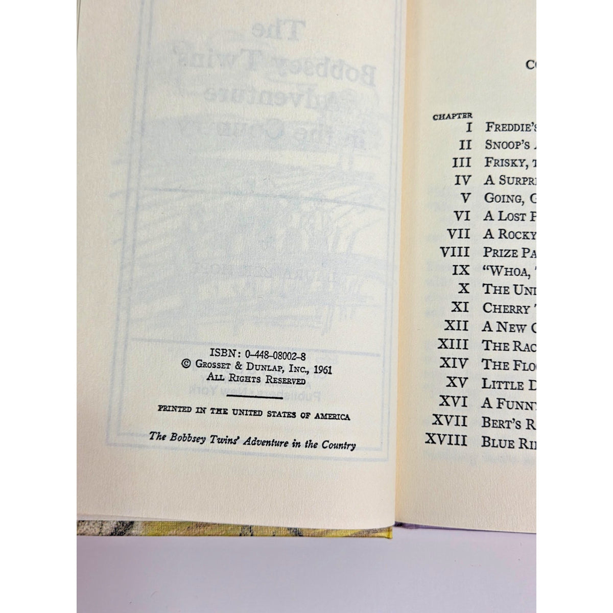 Vintage Bobbsey Twins Adventure in the Country 1980s Filmways Edition