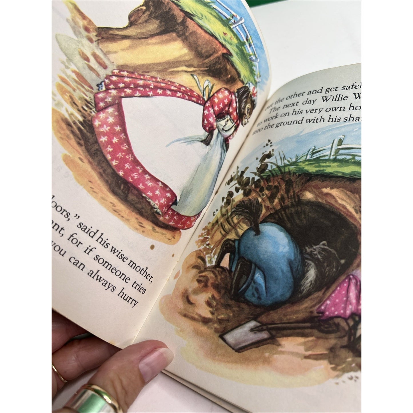 Willie Woodchuck Vintage 1968 Sunny Book by Marion E. Holt PB