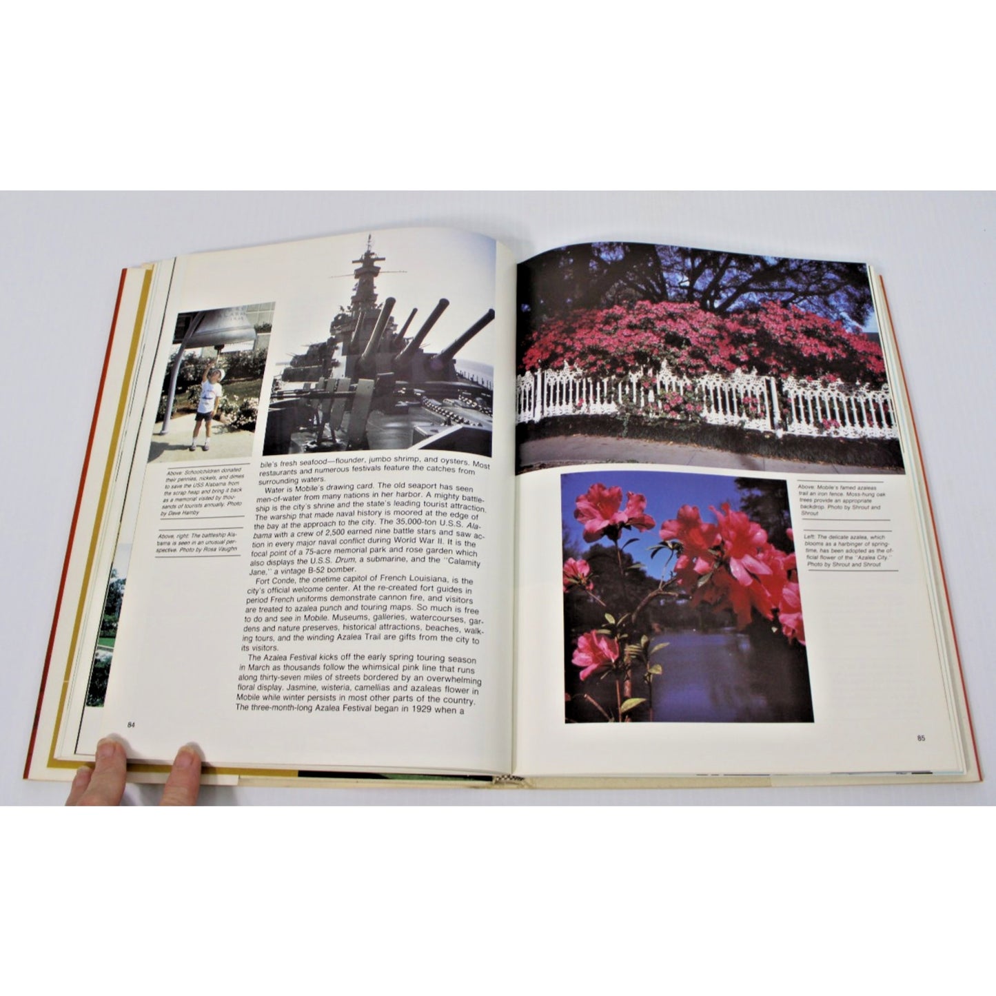 MOBILE: Sunbelt Center Of Opportunity- Cathalynn Donelson, Alabama, 1986 HC/DJ