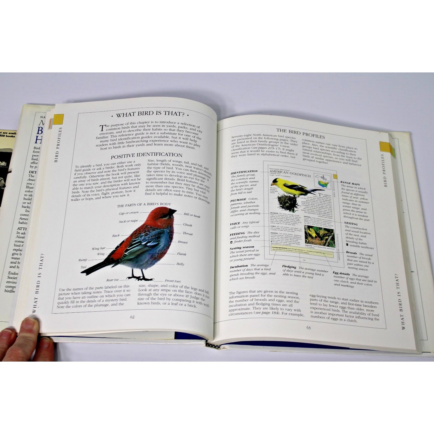 VTG Audobon Society: North American Birdfeeder Handbook and Finches...In Color!