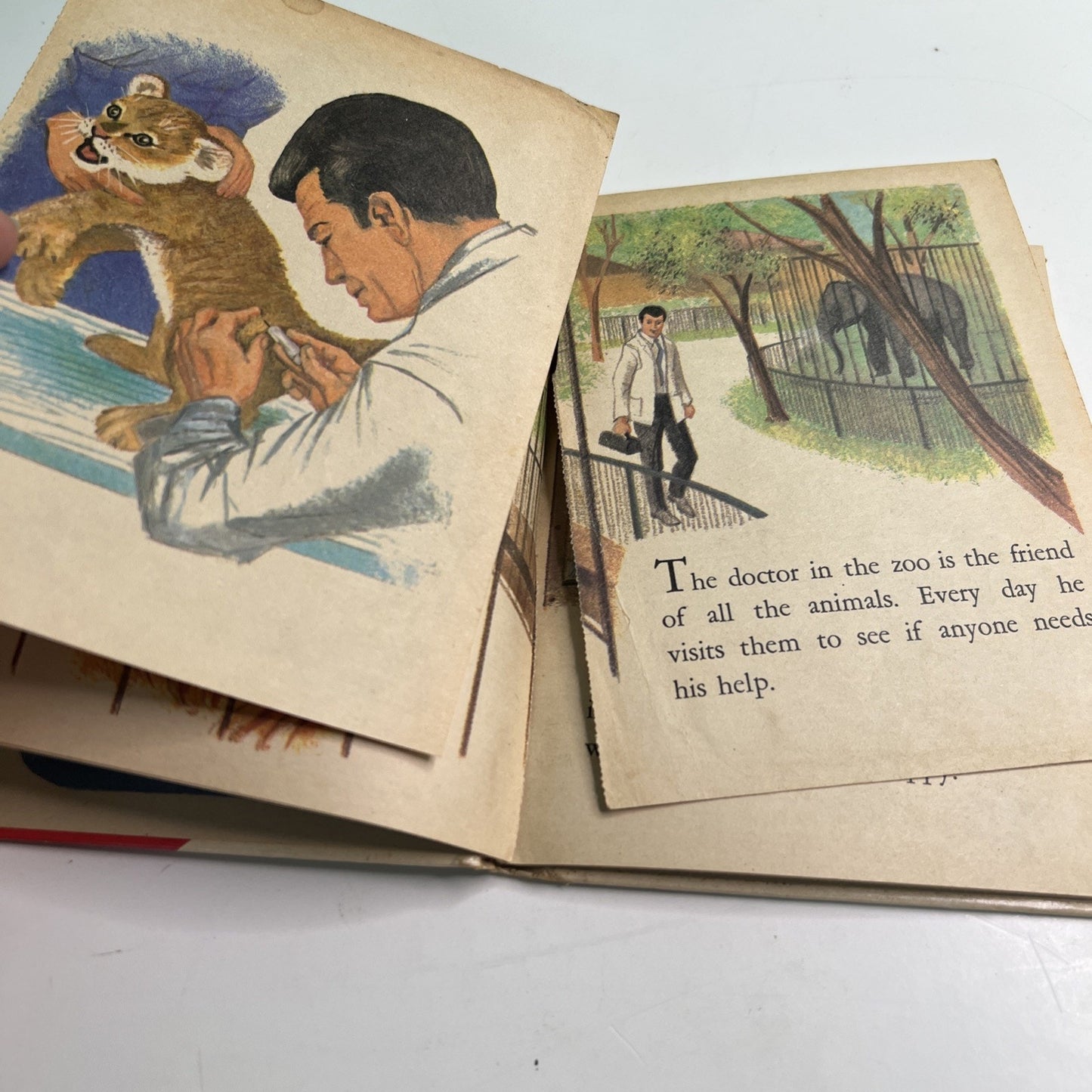 Rand McNally Junior Elf Book Start Right The Doctor in the Zoo 1971 Vintage