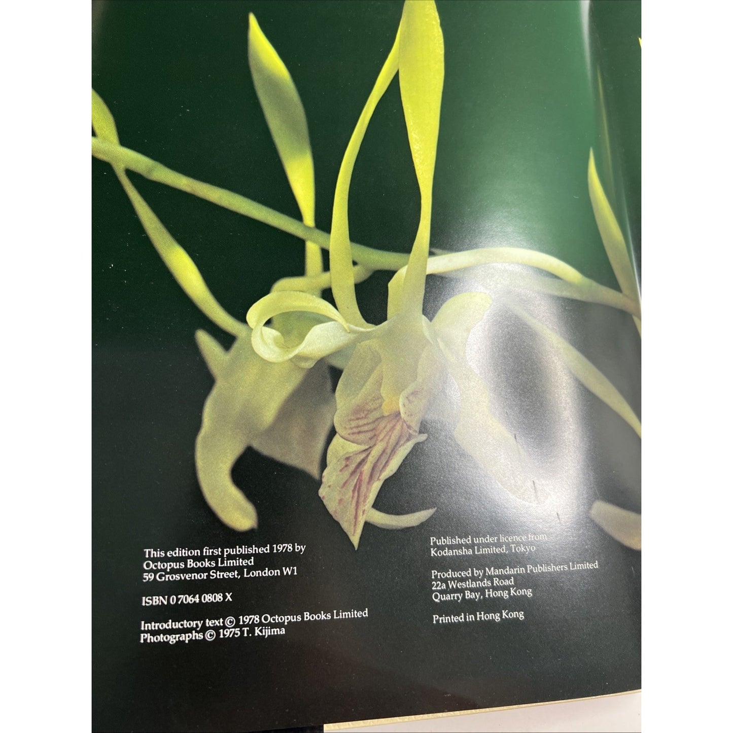 The Orchid by P F Hunt Photos by T Kijima 1978 First Edition HC DJ