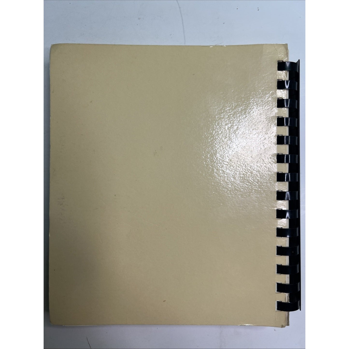 Recipes from Friends and Family 1980 Cookbook Mennonite